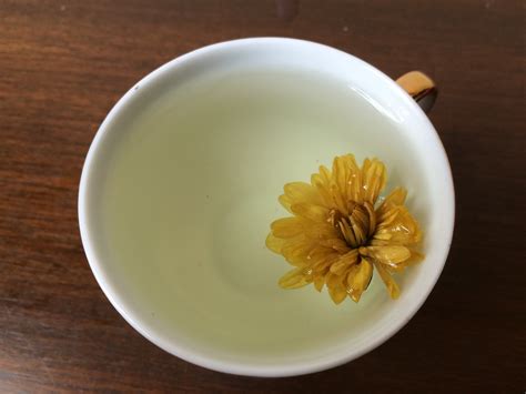 how to make chrysanthemum tea and why it’s important to appreciate the beauty of simplicity