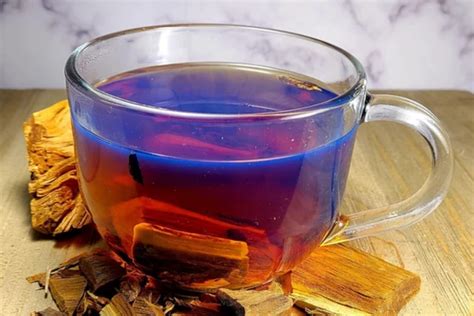 how to make palo azul tea and the history of tea in ancient civilizations