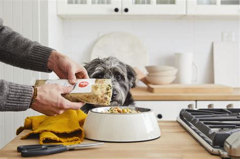 What's in Farmers' Dog Food? A Deeper Dive into the Nutritious Secrets Behind Our Canine Companions' Meals